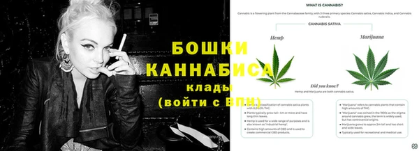 молекула духа Балахна
