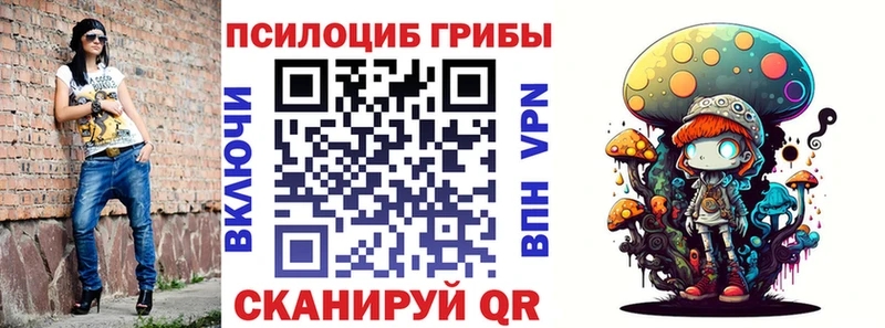 OMG вход  Покров  Псилоцибиновые грибы Magic Shrooms 